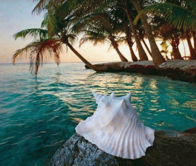 ile