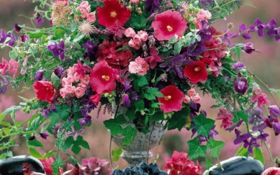 fleurs