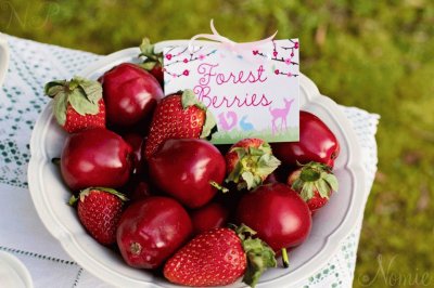 Vibrant Red Forest  Berries