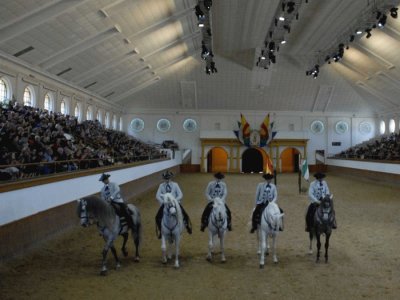 escuela andaluza de arte ecuestre2