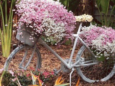 Pink and White Garden Bicycle jigsaw puzzle