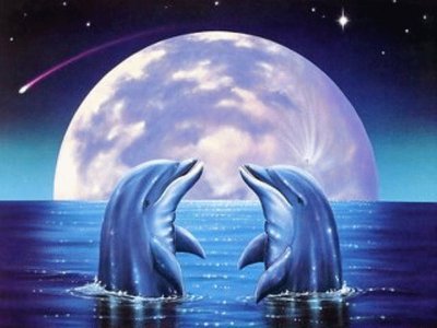 delfines jigsaw puzzle