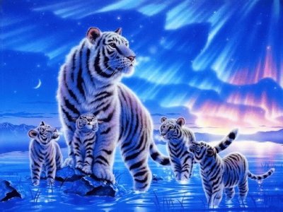 tigre5 jigsaw puzzle