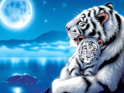 tigre6 jigsaw puzzle