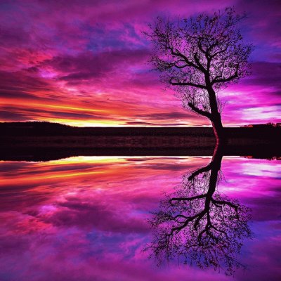 Purple Color