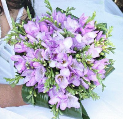 fleurs