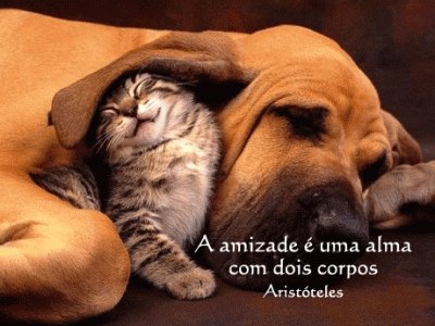 amizade jigsaw puzzle