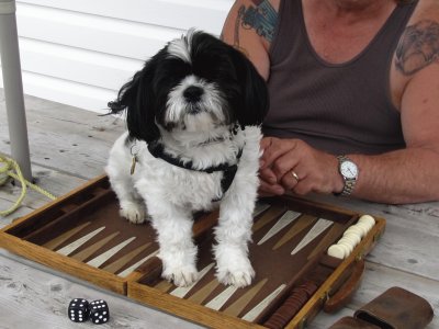 Isn 't that enough backgammon for now