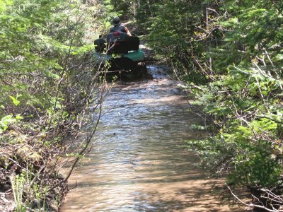 4-wheel ..swimming... on swampy trail jigsaw puzzle