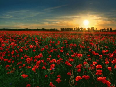 Posta de Sol
