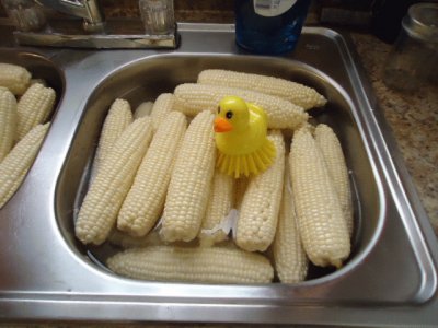 Corn brush 1