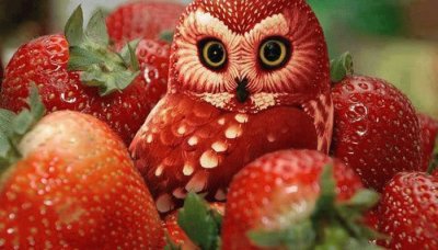 hibou fraise jigsaw puzzle