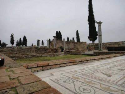 italica