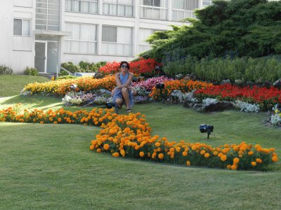 FLORES A LA ENTRADA DE PUNTA