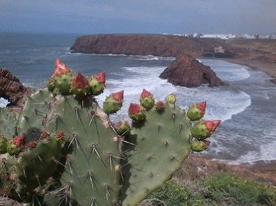 פאזל של PAISAJE DEL SUR DE MARRUECOS