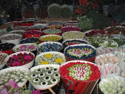 Ã©tal au marchÃ© aux fleurs