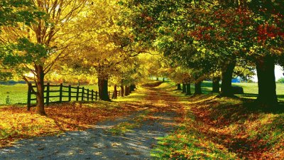 OtoÃ±o
