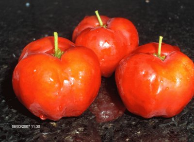 פאזל של Acerola