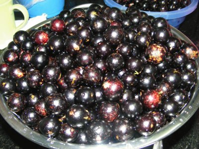 פאזל של Jabuticaba