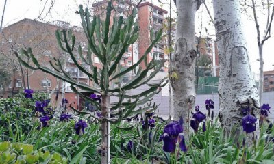 PAISAJE MADRILEÃ‘O