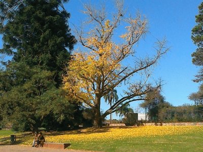 PRADO URUGUAY