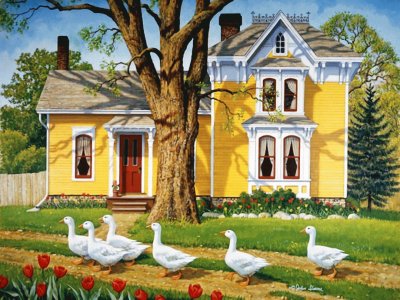 casa jigsaw puzzle