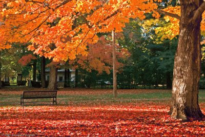 otoÃ±o