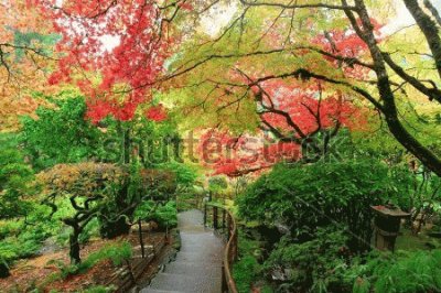 autum