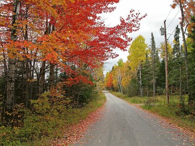 fall