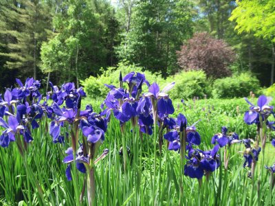 Mercer, maine jigsaw puzzle