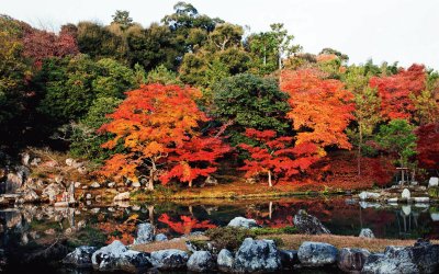lago