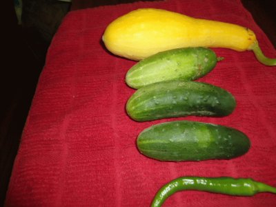 Garden vegetables