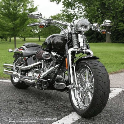 פאזל של Harley Davidson - Springer Beauty