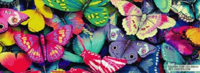 butterflies jigsaw puzzle