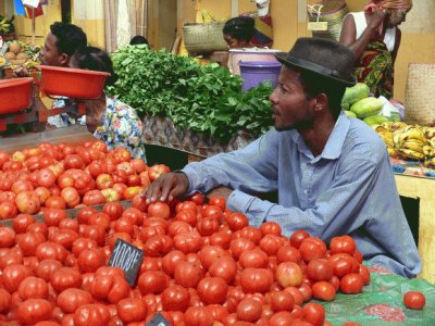 Madagascar Market