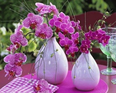 fleurs: orchidÃ©es