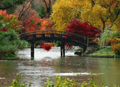 autum