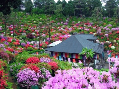 JAPONES