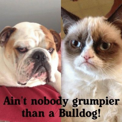 grumpy and friend