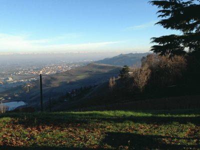 dal belvedere jigsaw puzzle