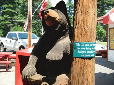 Grizzly Mascot