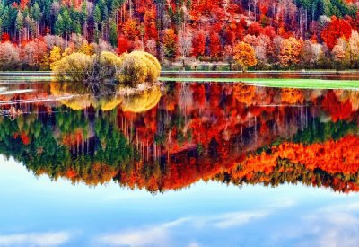 november