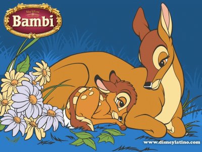 פאזל של bambi