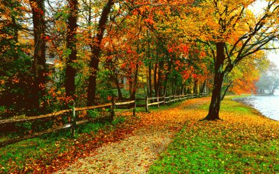 autum
