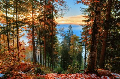 nature