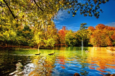 nature 2