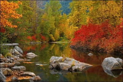 LANDSCAPES