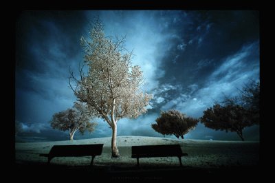 - paisagem,(c)