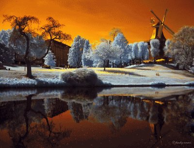 - paisagem,(d)