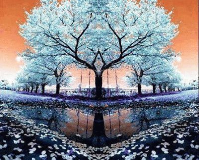arbre